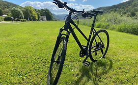 Apartmenthaus Zentral Bad Schandau